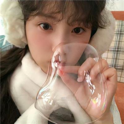 野探哈莉第四季